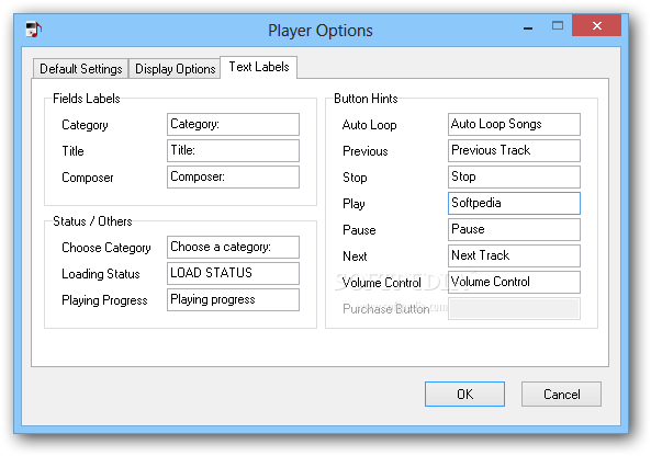 A4Desk Flash Music Player screenshot 6 - This window of A4Desk Music Player will allow you to set the player default, display and text label options.