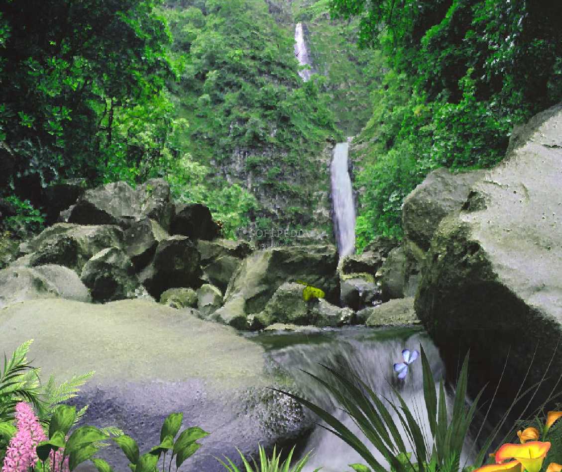 "The Jungle Waterfall Animated Wallpaper, Breathe in fresh jungle air and 
