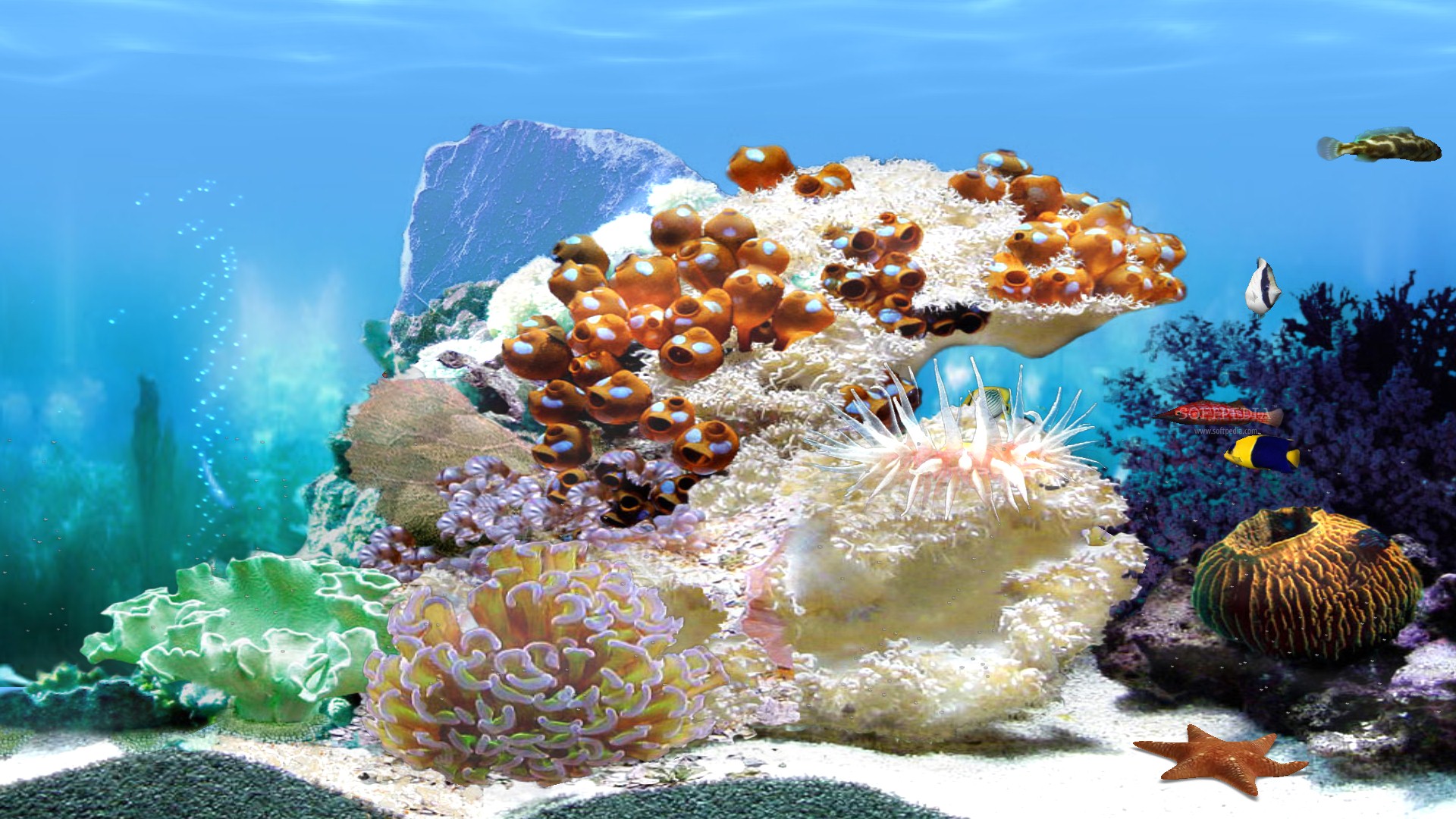 Aquarium Wallpaper Animated