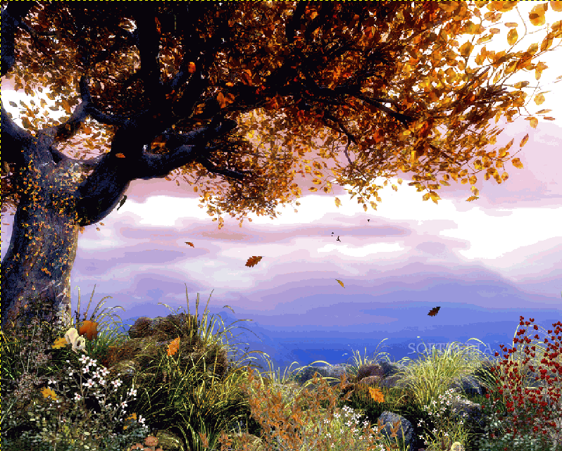 wallpaper tree. Screenshot 1 of Autumn Tree - Animated Wallpaper