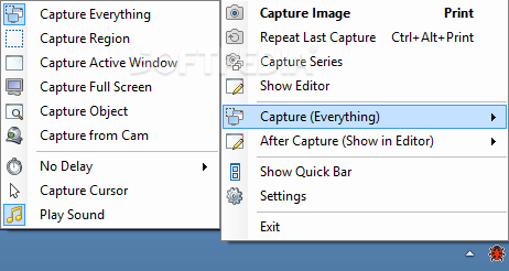 Bug Shooting screenshot 1 - The application displays a system tray icon that you can use to select the type of screen capture.