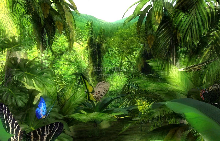 3DĻ1.0_Butterfly Jungle 3D Screensaver 1.0