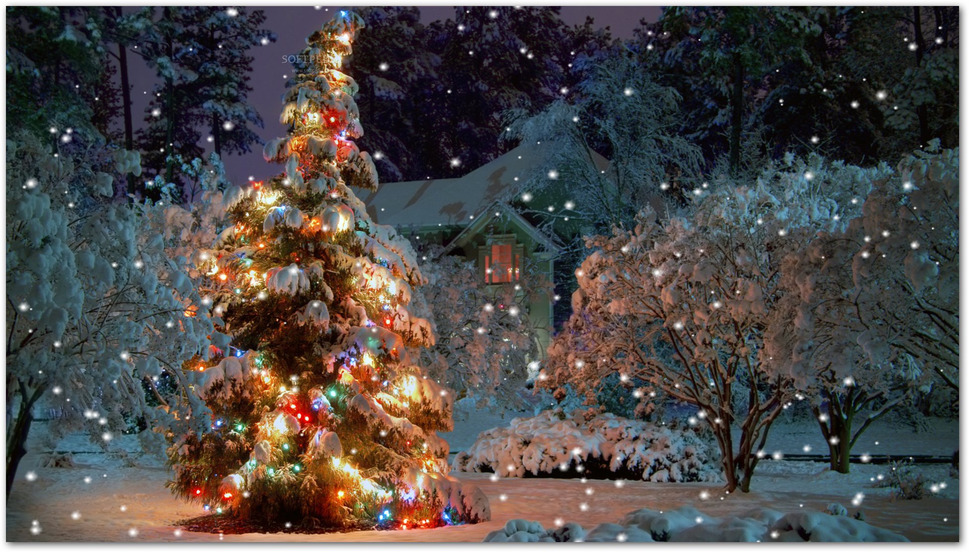 Christmas Serenity Screensaver - Have a beautiful Christmas tree on ...