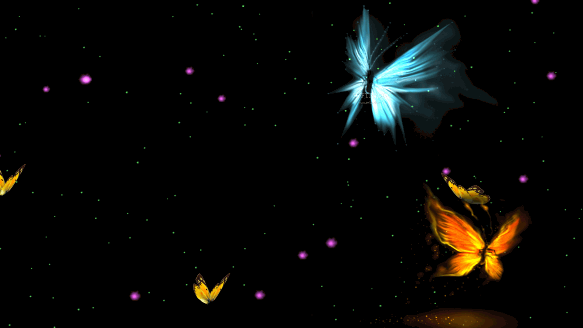 Butterfly Oasis Screensaver