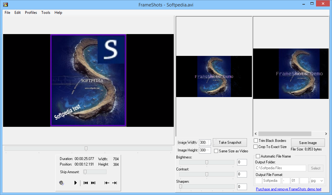 Frameshots video frame capture free download