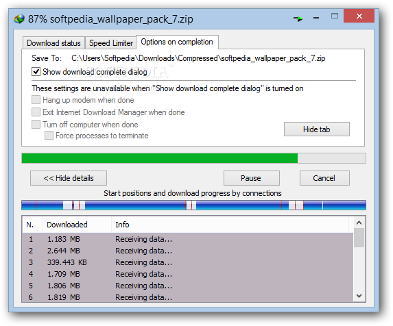 Internet Download Manager Screenshot - 04