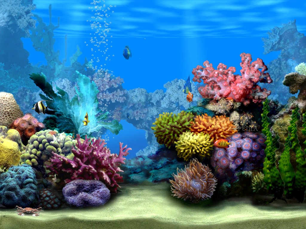 Living Marine Aquarium 2 Screensaver |.