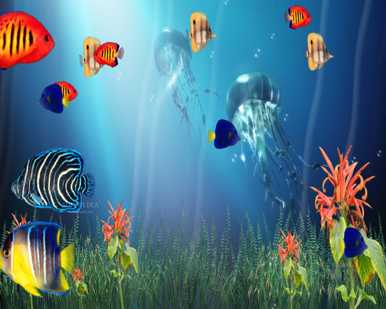 Sim Aquarium - Virtual Aquarium, Screensaver and Live
