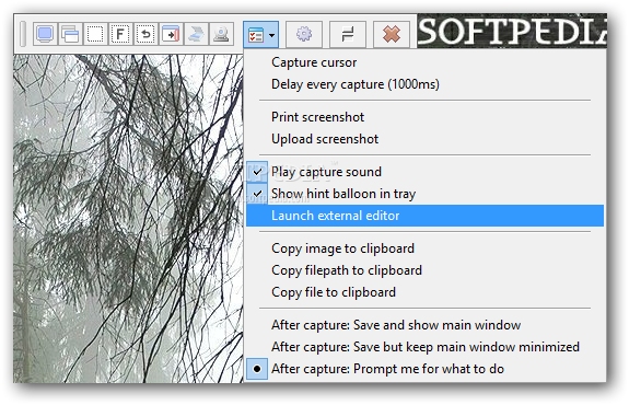 ͼ_Screenshot Captor 4.7.0