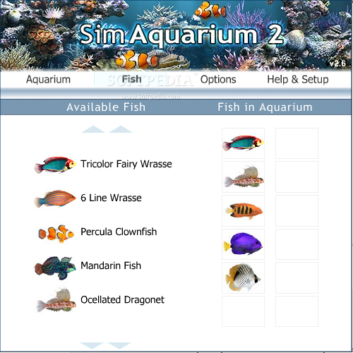 Types Of Fishes For Aquarium. fish Aquarium+fish+types