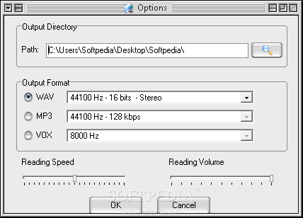 Text to Speech Maker screenshot 2 - From this window you can easily establish settings regarding the output directory and format.