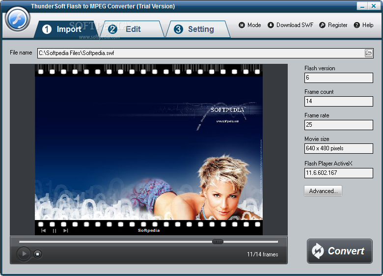 ThunderSoft Flash to MPEG Converter screenshot 1 - The main window of the application allows users to preview the SWF file they want to convert to MPEG