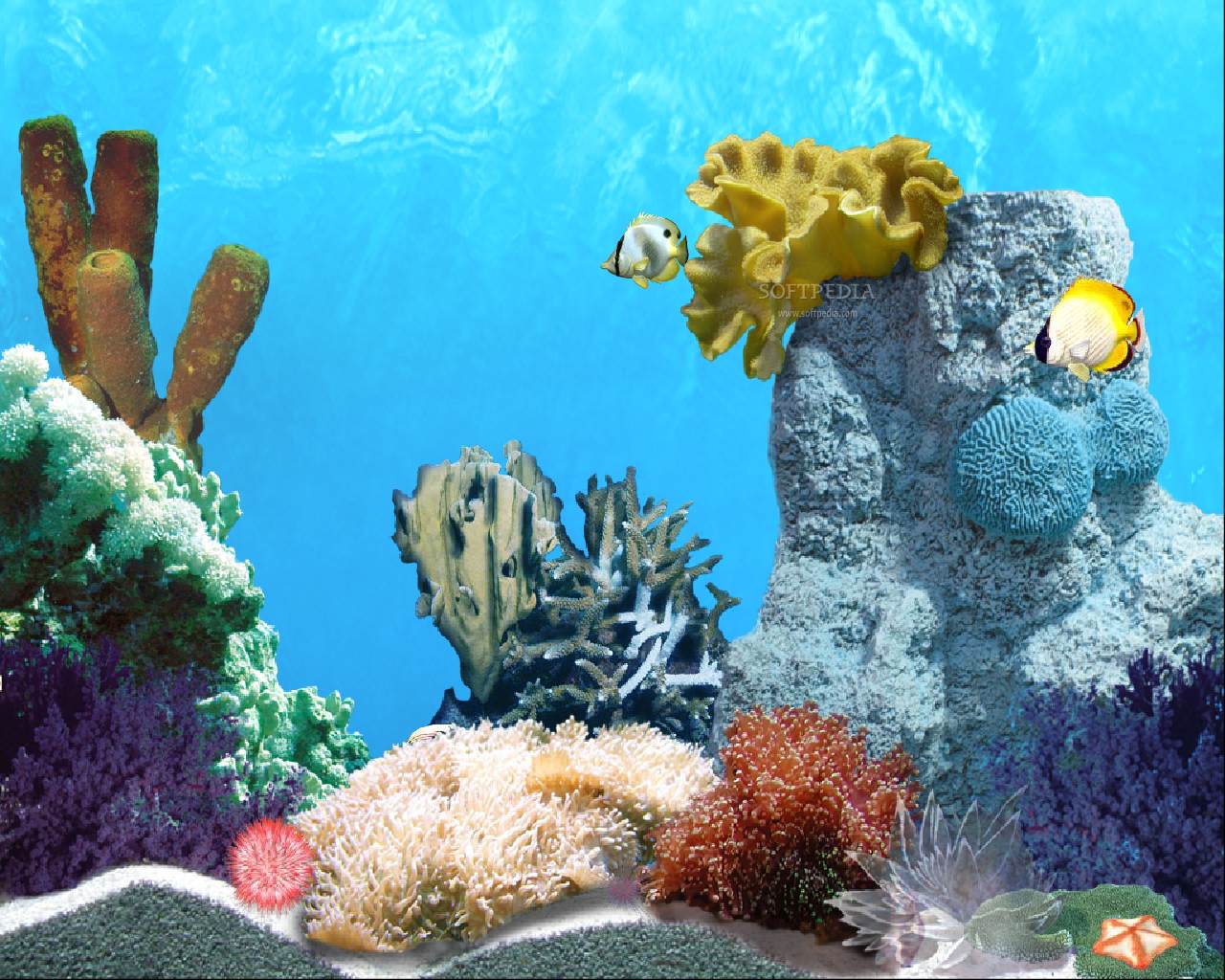 Tropic Fish - Animated Wallpaper Download