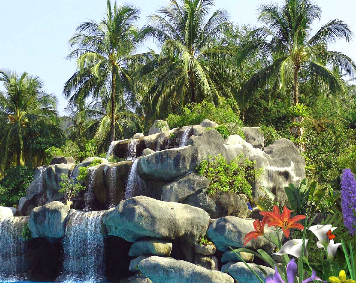 "The Tropic Waterfall Animated Wallpaper displaying a beautiful waterfall 