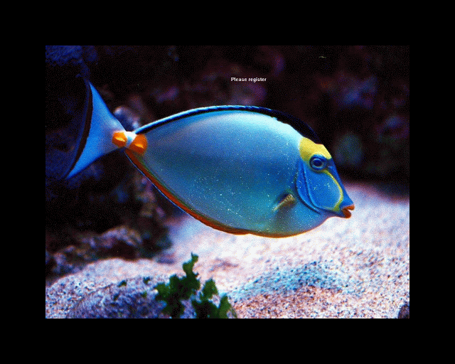 tropical fish pictures