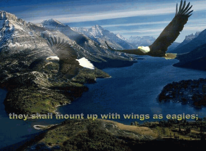 with wings as eagles