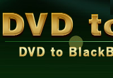 4Videosoft DVD to BlackBerry Suite